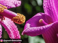 Satisfying Dirty Mind GIF