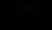 Metro 2033 GIF by Deep Silver