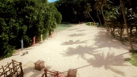 survivorau GIF by Australian Survivor