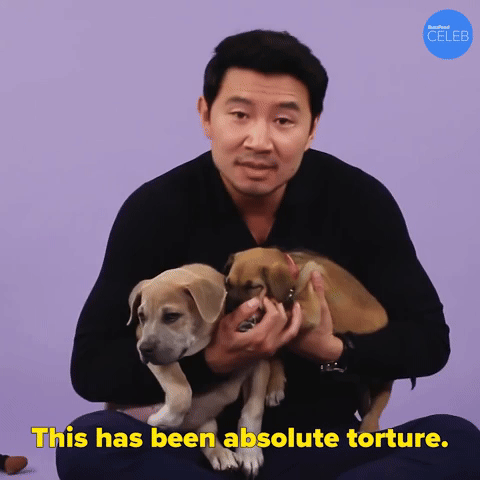 This Has Been Absolute Torture