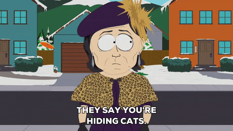 cats hello GIF by South Park 