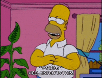 homer simpson episode 3 GIF