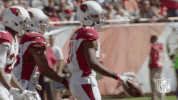 Arizona Cardinals Football GIF by NFL