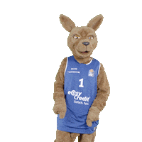 social-media-easycredit basketball iloveyou easycredit ellihoop Sticker