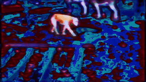 Floating Image 1