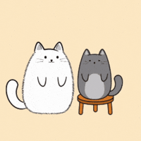 Cat Kiss GIF by MESA My Emotional Support Animal