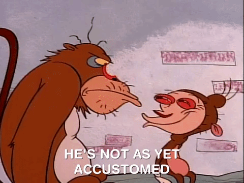 ren and stimpy nicksplat GIF