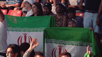Flag Rooting GIF by Volleyball World
