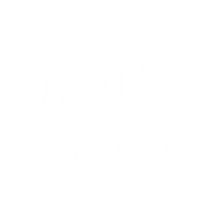 Words What Sticker