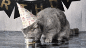 Hungry Party GIF by Weasy