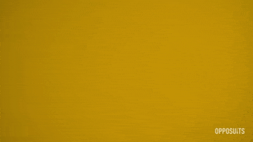 St Patricks Day Beer GIF by OppoSuits