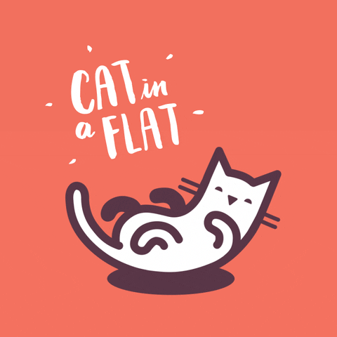 Catsitter GIF by CatInAFlat