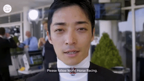 Sport Jockey GIF by World Horse Racing