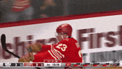Happy National Hockey League GIF by NHL