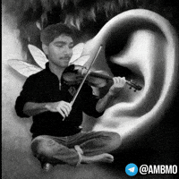 Koodalihss GIF