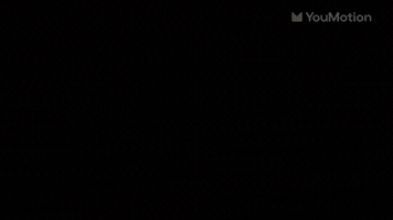 Followers Typography Horizontal | Video |You Motion