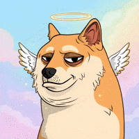 Shiba Inu Dog GIF by Doge Pound
