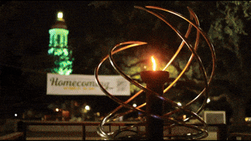 Football College GIF by Baylor University
