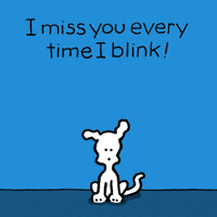 I Love You Dogs GIF by Chippy the Dog