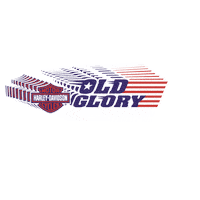 jetcity hd baltimore motorcycles harley davidson Sticker