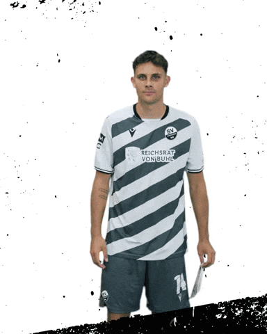 3Liga GIF by SV Sandhausen