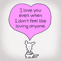 chippythedog love angry i love you chippythedog GIF