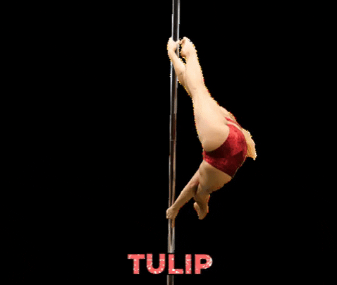 PoleDanceOnline giphygifmaker poledance pole dance tulip GIF