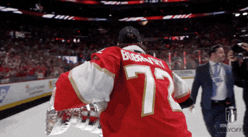 Stanley Cup Playoffs Win GIF by NHL