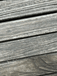 Animadelfica GIF