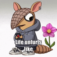 Flower Unfolding GIF by Chillo Dillo
