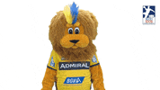 Handball-Bundesliga No GIF by LIQUI MOLY HBL