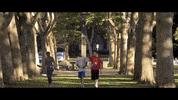 pittsburgh pennsylvania GIF