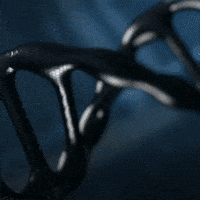 Dna Asi GIF by ASIreadiness