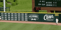 North Carolina Baseball GIF by NCAA Championships