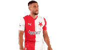 Football Soccer Sticker by SK Slavia Praha