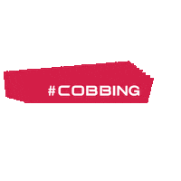 Smoke Entertainment Sticker by COBB BLOBAL