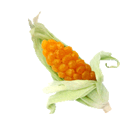 on the cob emoji Sticker by Gushers