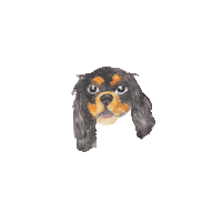 dog puppy Sticker by Color Snack Creative Studio