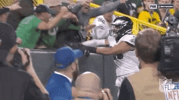 Philadelphia Eagles Football GIF by NFL