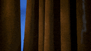 GIF by Masterchef