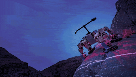 stevewalther giphyupload GIF