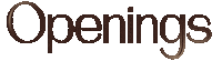 emeraldlashes lashes emerald lashextensions openings Sticker