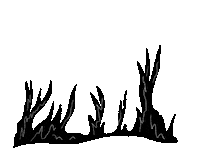 Flower Explosion Sticker by Nastia Cistakova