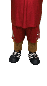 Game Football Sticker by FC Bayern Munich