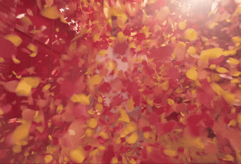 Happy Birthday Love GIF by Apple Music