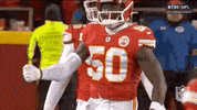 Kansas City Chiefs Football GIF by NFL