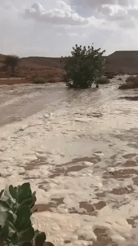 Floodwaters Rush Through Valley After Heavy Rainfall in Saudi Arabia