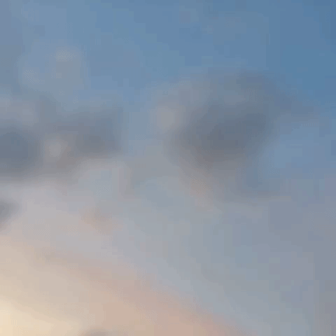 GIF by molehill