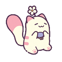No Money Cat Sticker by Castaways