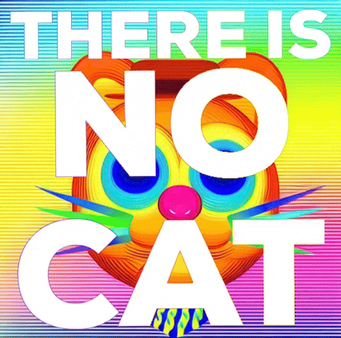 No Cat There Is GIF by The LSD Hotel